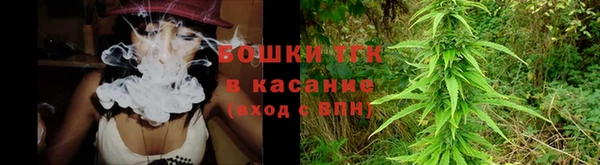 гидра Нея