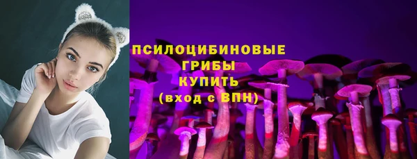гидра Нея