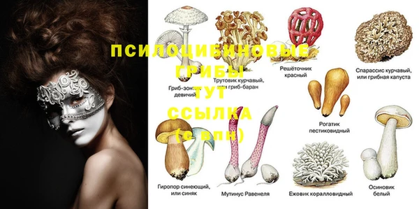 МДПВ Нефтекумск