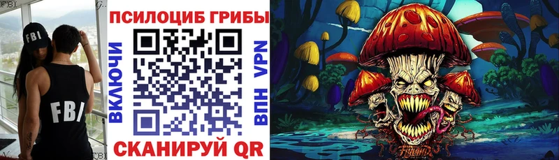Купить где  Калининград  Галлюциногенные грибы Psilocybine cubensis 